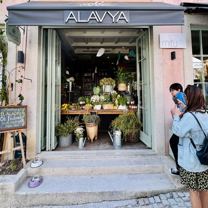 Alaçatı Ot Festivaline özenle hazırlanmış Alavya